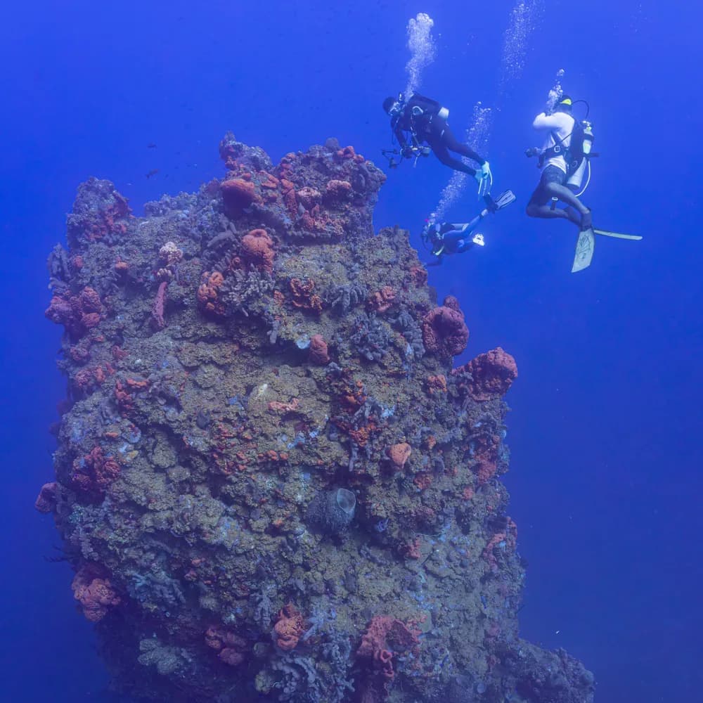 Diving at The Pinnacles in the Saba Marine Park
